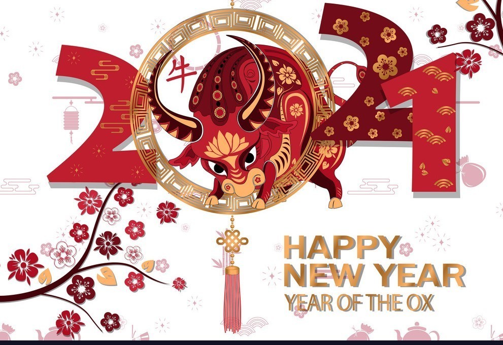 Happy Chinese New Year-The Year of the Ox!