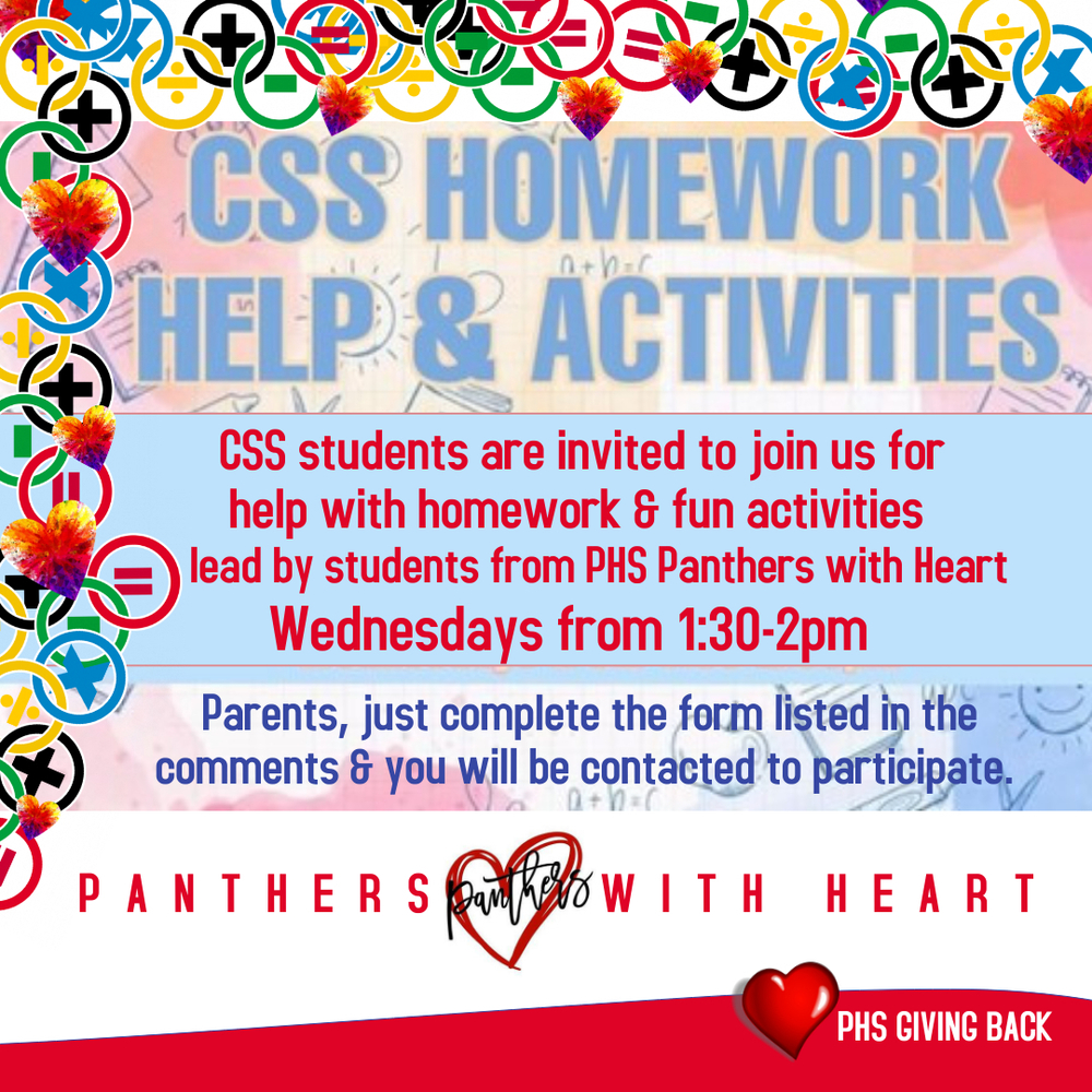CSS HOMEWORK HELP & FUN activities TOO!