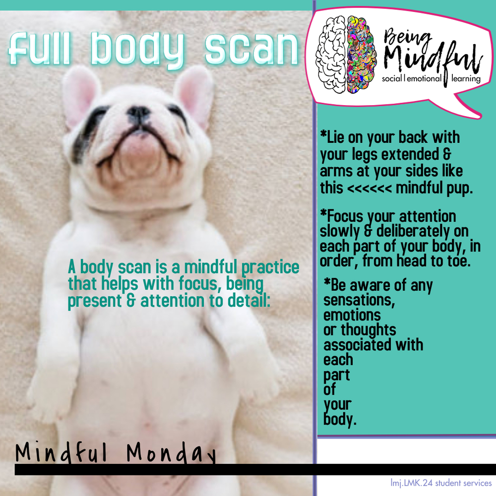 Mindful Monday #24 Full Body Scan